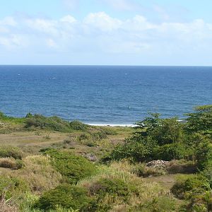 Coastline view