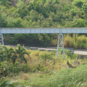 The fourth trestle