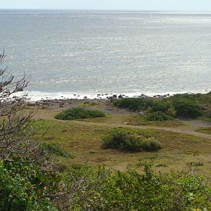 Scenic Railway view