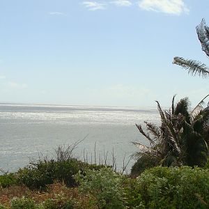 Scenic Railway view