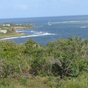 Scenic Railway view