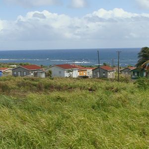 Scenic Railway views