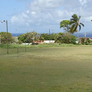 Coastal town