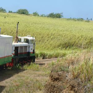 Scenic Railway views