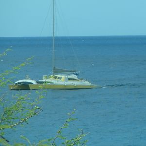 Our catamaran