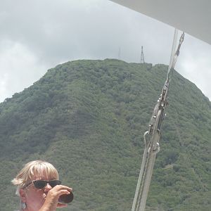 Catamaran views