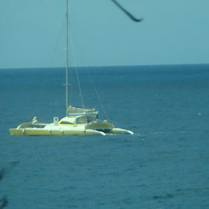 Patti catches our catamaran