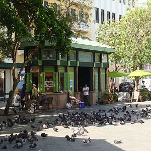 Count the pigeons!