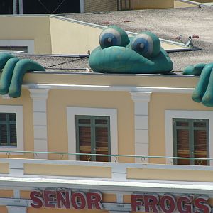 Senor Frog