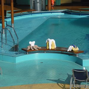 Towel creatures by the Beach Pool