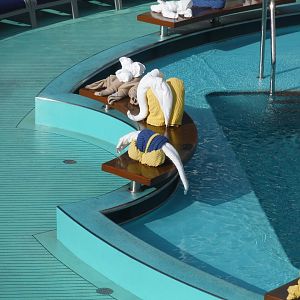 Towel creatures by the Beach Pool