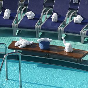 Towel creatures by the Beach Pool