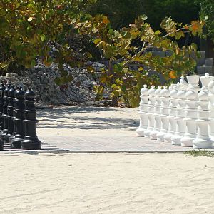 Chess Anyone?