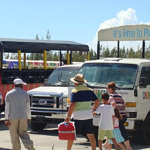 Tour vehicles lined up