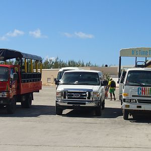 Tour vehicles lined up