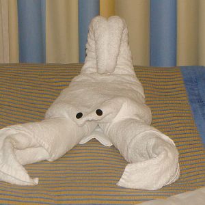 Tonight's towel animal