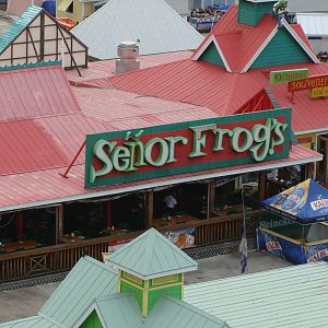 Senor Frog's