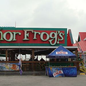 Senor Frog's