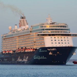 CRUISE SHIPS  (176).jpg