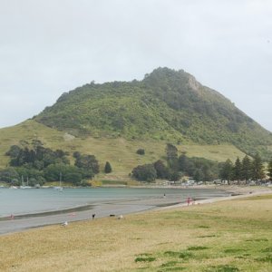 B0119tauranga.jpg