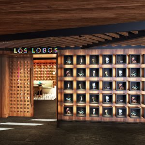 norwegianprima-loslobos-entrance-rendering.jpg