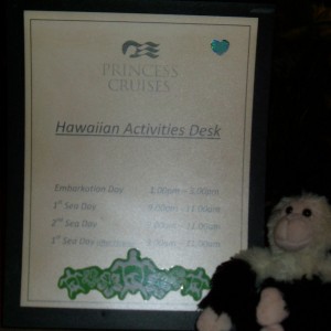 Monkey at Hawaiian Activities Desk