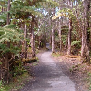 Walkway Thurston Lava Tube