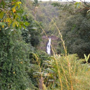 Akaka Falls Hilo