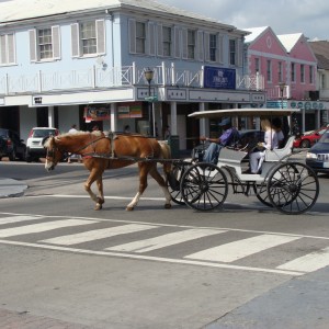 Nassau - Horse & Buggie