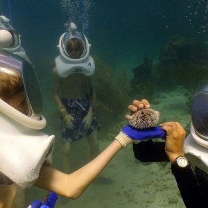 St.Thomas - Helmet Dive