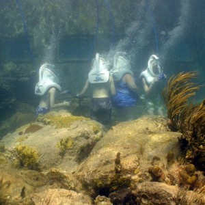 St.Thomas - Helmet Dive