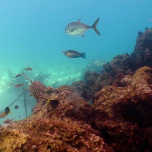 St.Thomas - Helmet Dive