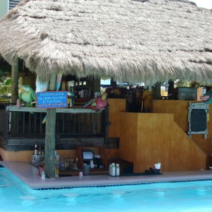 Swim up bar