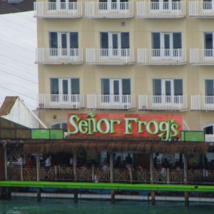 Senor Frogs