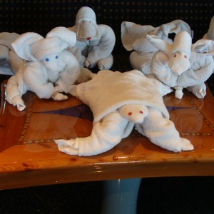 Towel creature convention