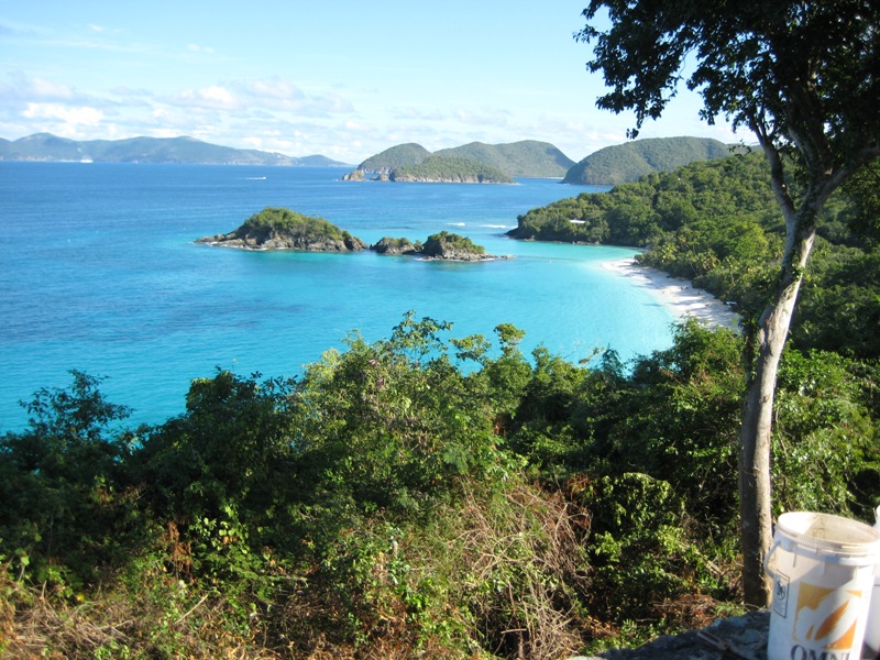 018 Trunk Bay