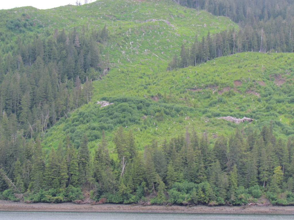 2012_Amsterdam_Alaska_095