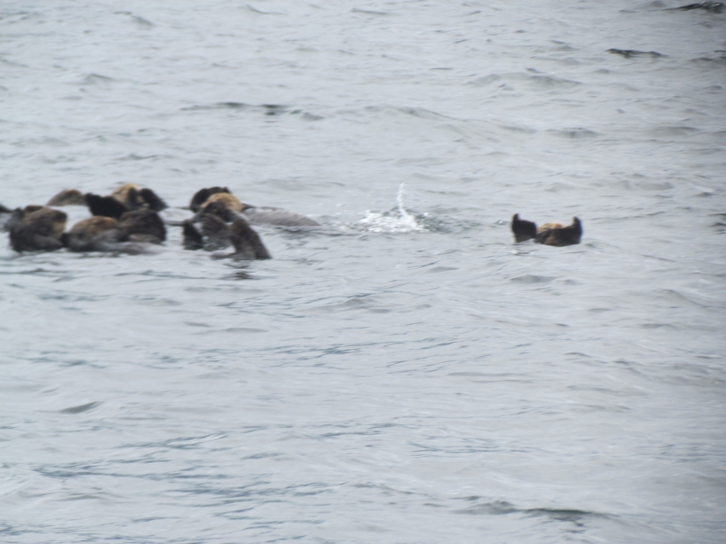 2012_Amsterdam_Alaska_280