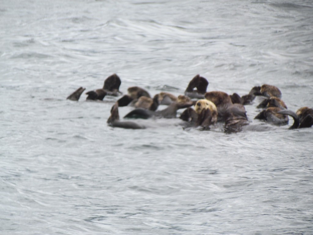 2012_Amsterdam_Alaska_284