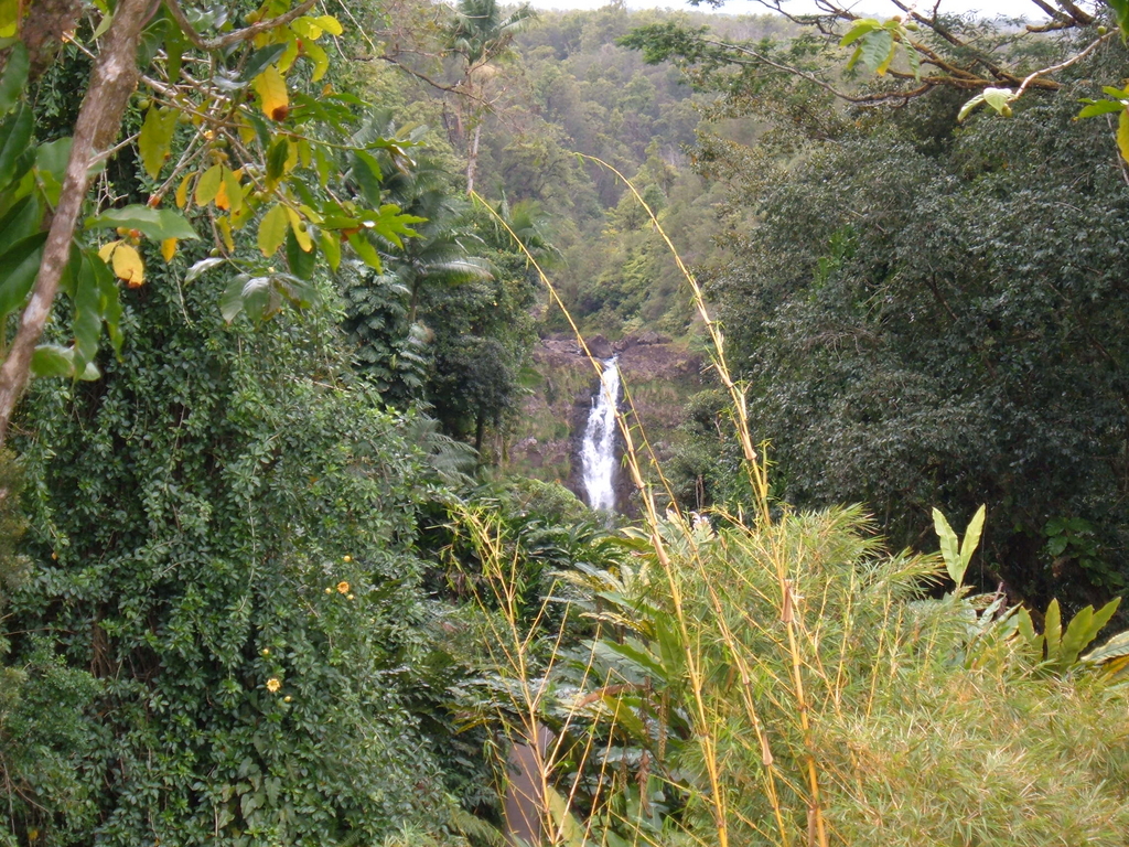 Akaka Falls Hilo