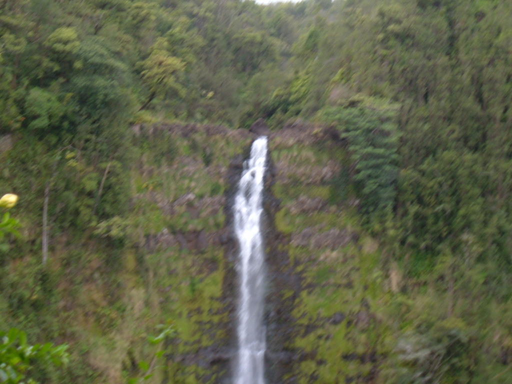 Akaka Falls Hilo