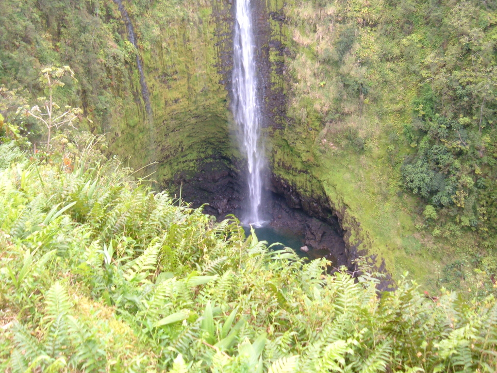 Akaka Falls Hilo