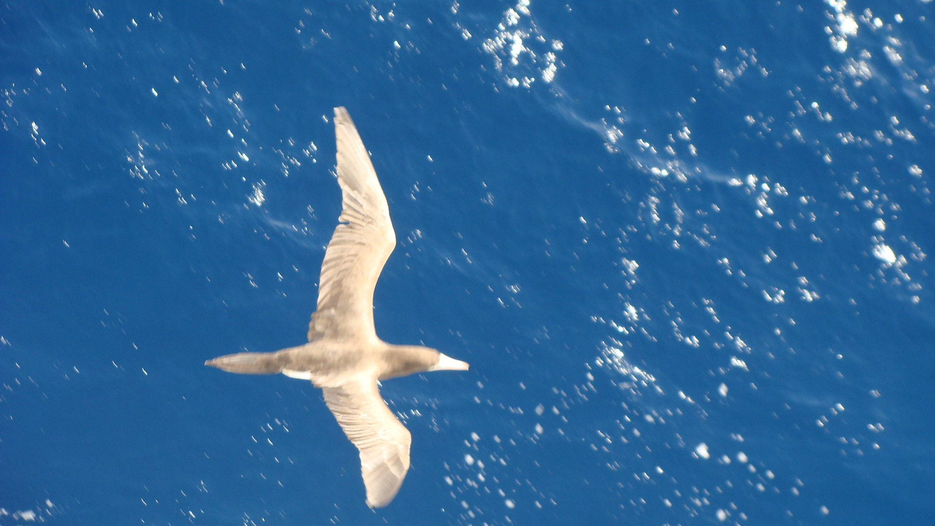 Approaching St. Maarten