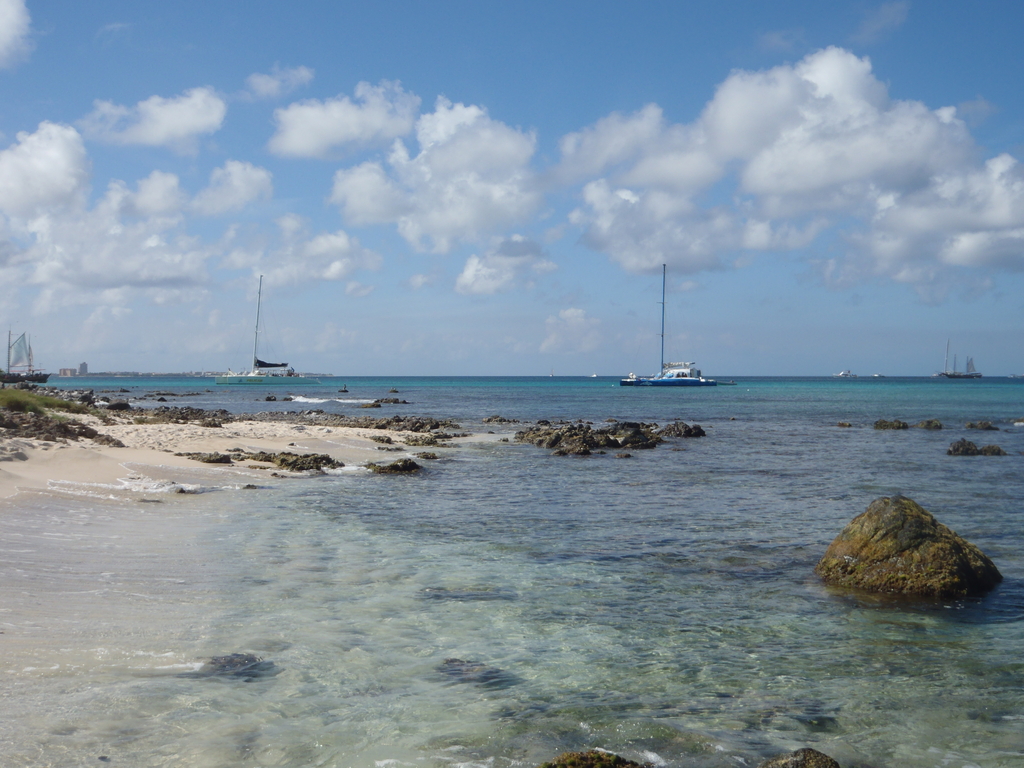 Aruba_2011-03-05_028