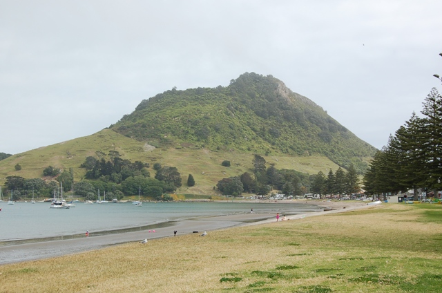 B0119tauranga.jpg