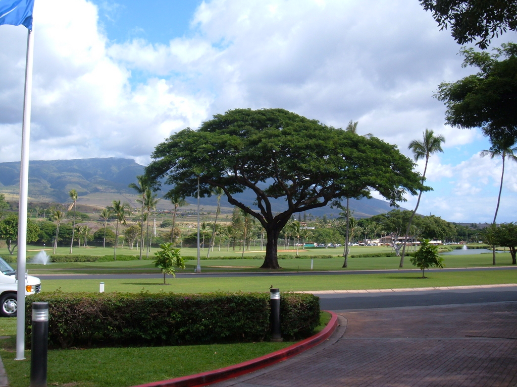 Beautiful View across Whaler's Village, Ka'anapali