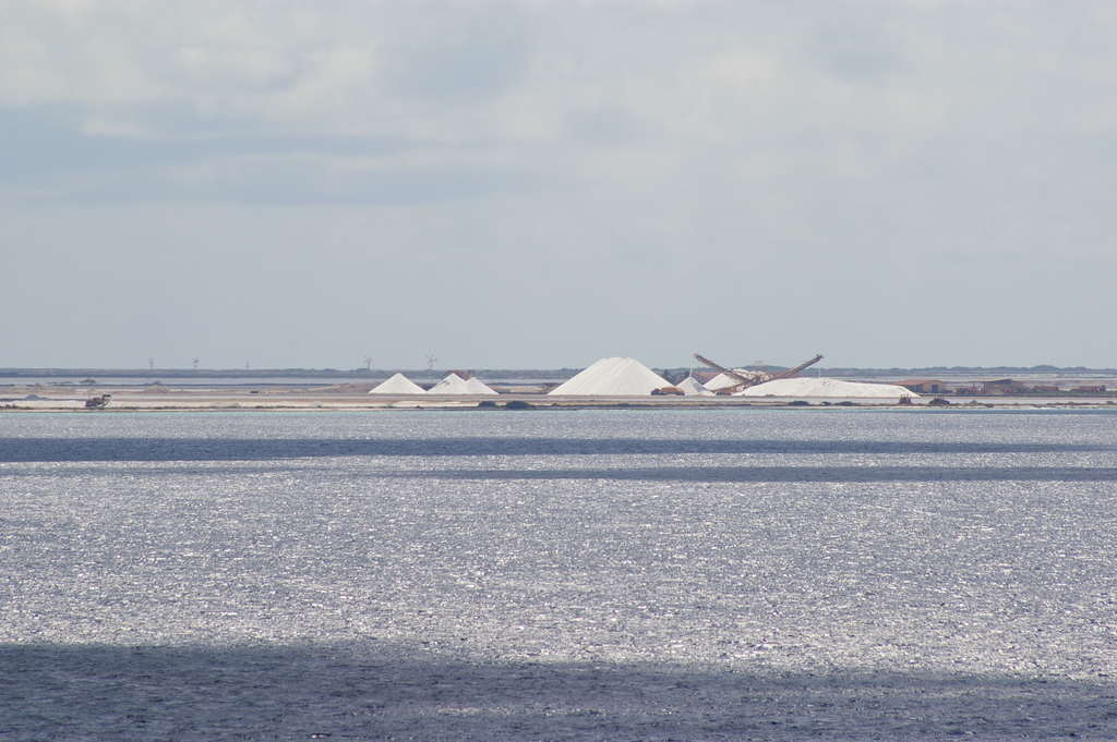 Bonaire_2011-03-04_038