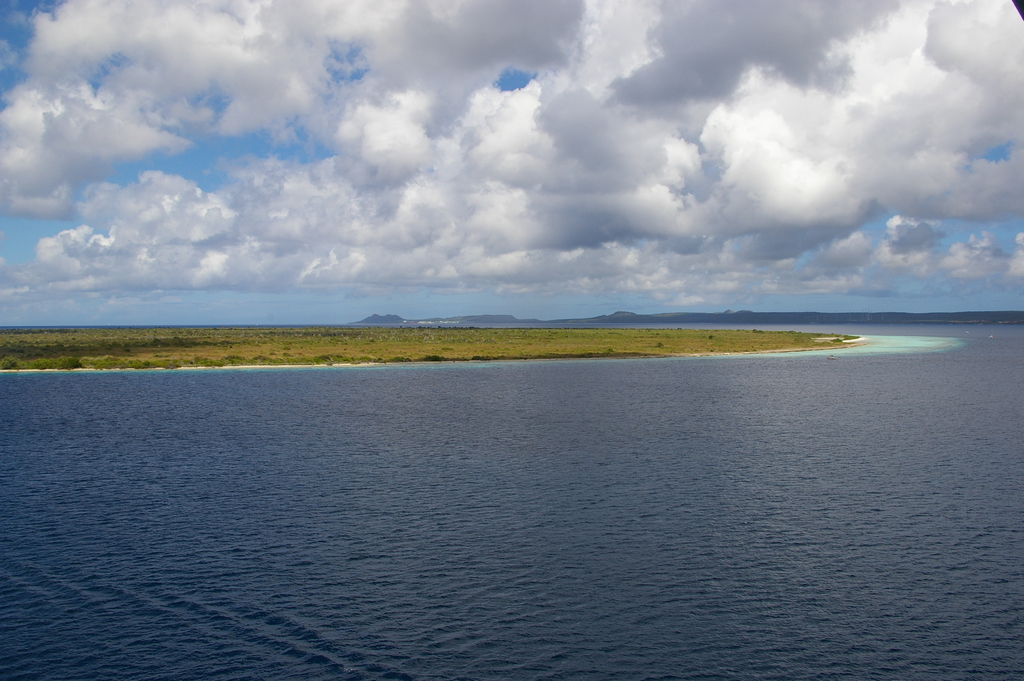 Bonaire_2011-03-04_044