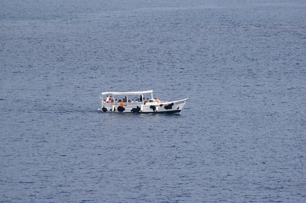 Bonaire_2011-03-04_045