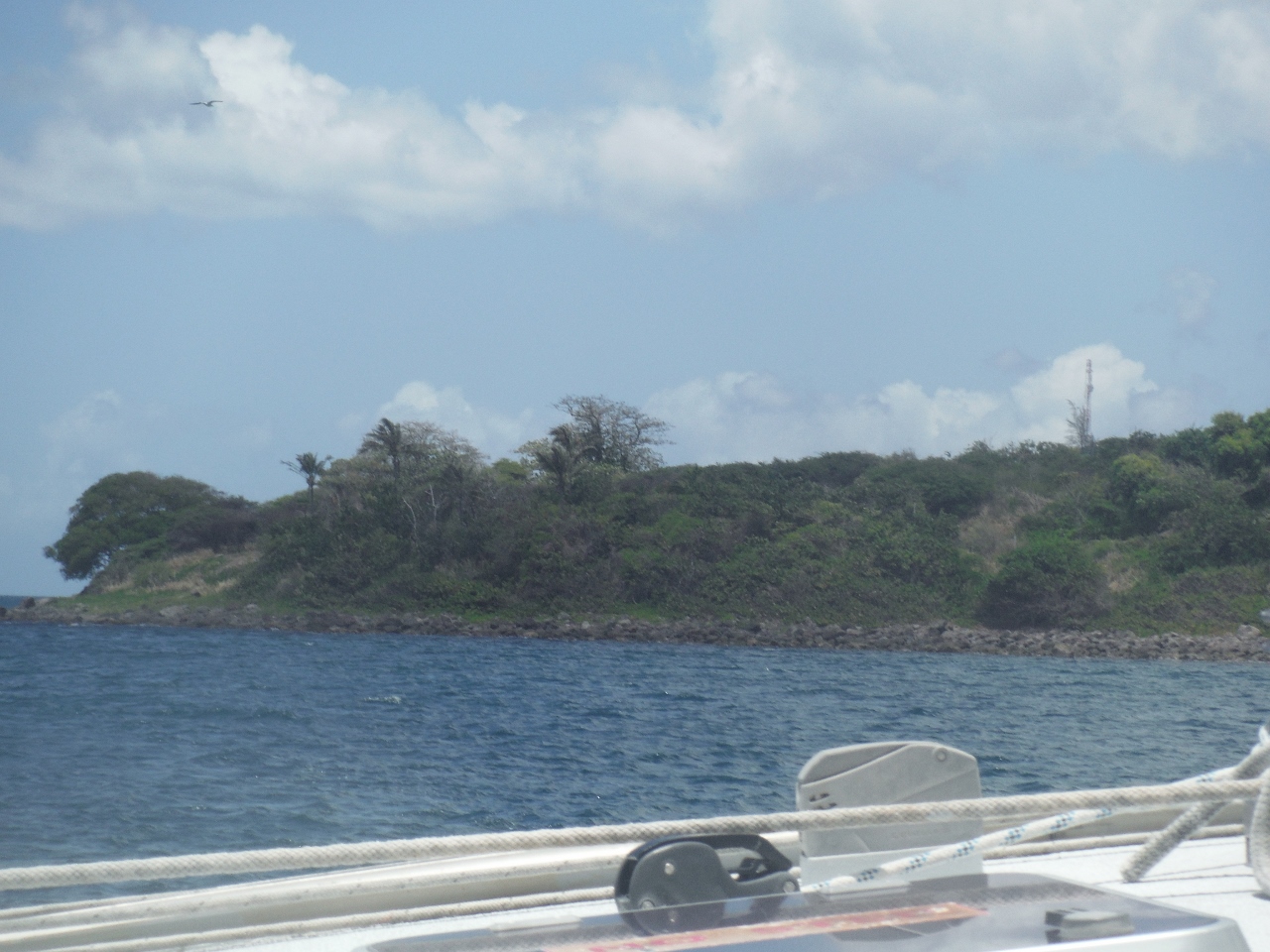 Catamaran views